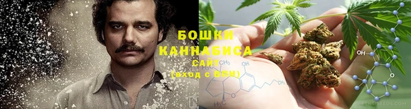 сатива Заволжье