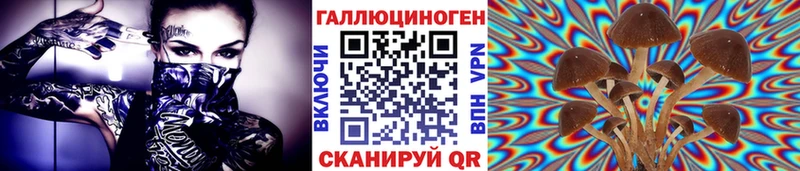 что такое наркотик  Кимры  Псилоцибиновые грибы прущие грибы 